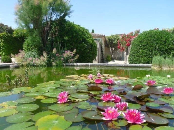 Un Gite En Provence - Les Jardins De Fontanille Saint-Rémy-de-Provence Eksteriør billede