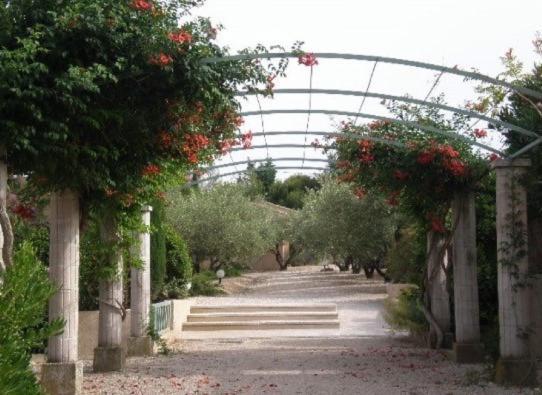 Un Gite En Provence - Les Jardins De Fontanille Saint-Rémy-de-Provence Eksteriør billede