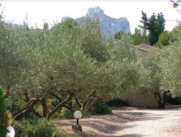 Un Gite En Provence - Les Jardins De Fontanille Saint-Rémy-de-Provence Eksteriør billede