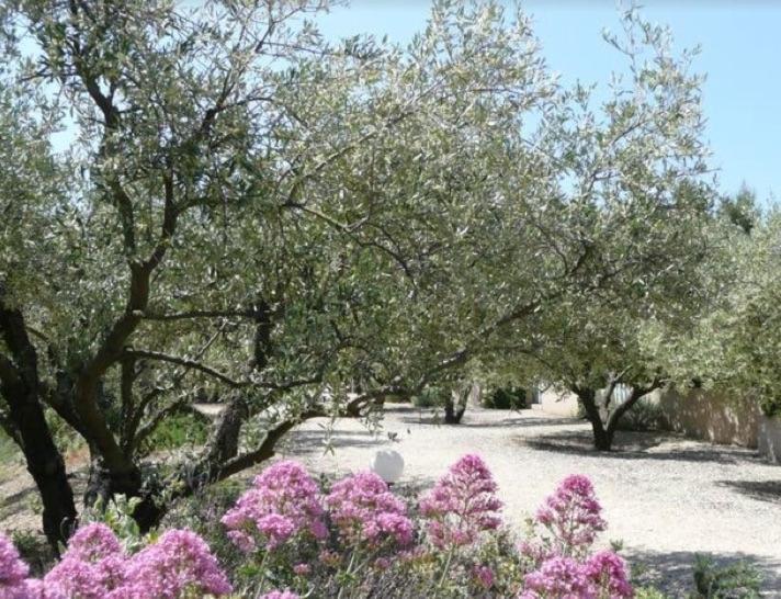 Un Gite En Provence - Les Jardins De Fontanille Saint-Rémy-de-Provence Eksteriør billede